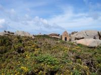 Lande et rocher de Squéouel Ploumanac'h