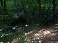 Passerelle à l'espace naturel du Saut Roland de Dompierre du Chemin