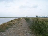 Belle perspective du Mont-Saint-Michel (herbus et polders)