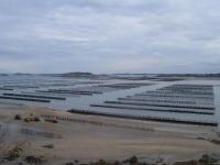 Panorama sur les bouchots dans la Baie de l'Arguenon