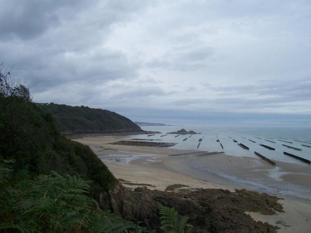 Panorama sur les bouchots dans la Baie de l'Arguenon