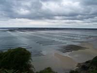 Panorama sur les bouchots dans la Baie de l'Arguenon