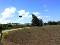 Épouvantail original au milieu des cultures Prince de Bretagne